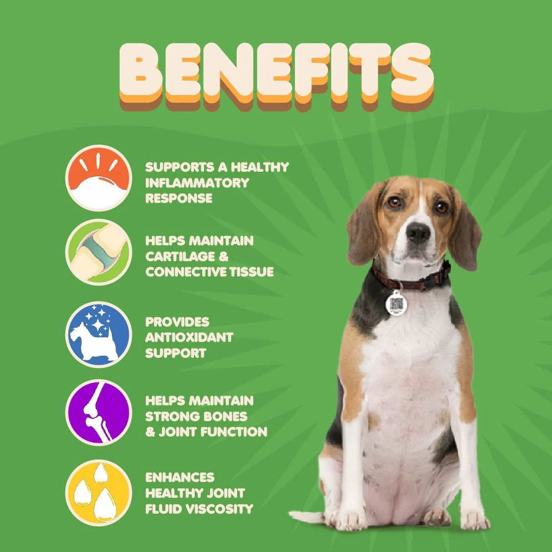 Joint Supplement for Dogs 90 Pills Turmeric for Dogs plus Fish Oil Glucosamine