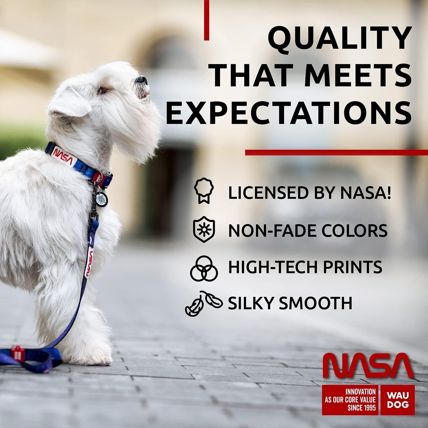 Nylon Dog Collar Adjustable for Small Medium Dogs 916 in Neck X 4/5 in NASA