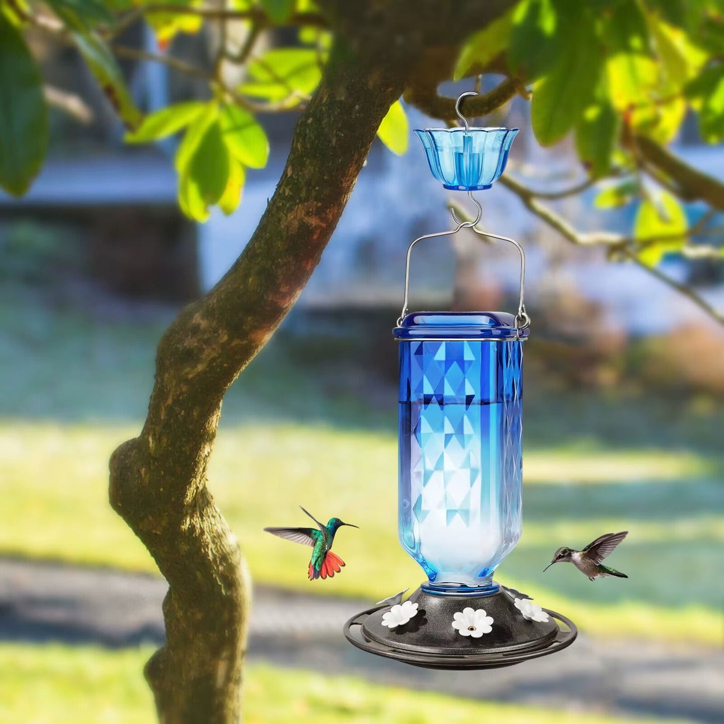 SkyBloom Glass Hummingbird Feeder – Elegant 6-Port Nectar Feeder with Ant Moat