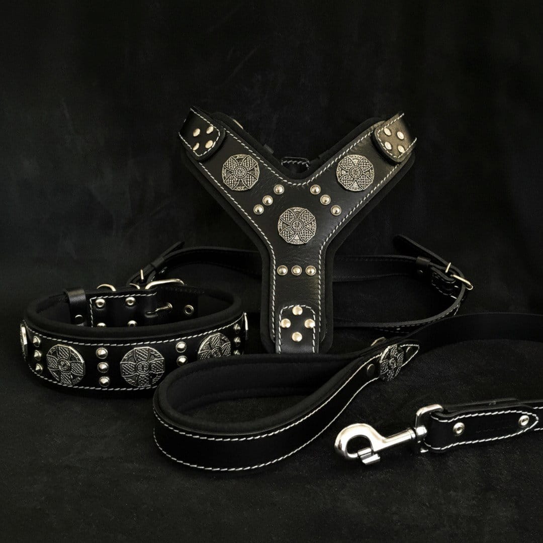 Maximus Silver Walk Set