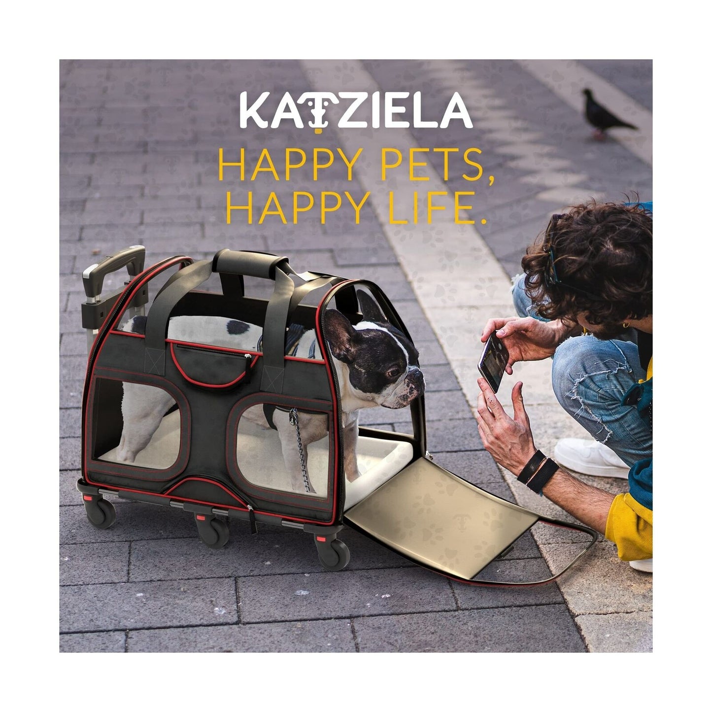 Katziela Pet Carrier - Airline Approved - TSA Approved Pet Carrier for Small ...