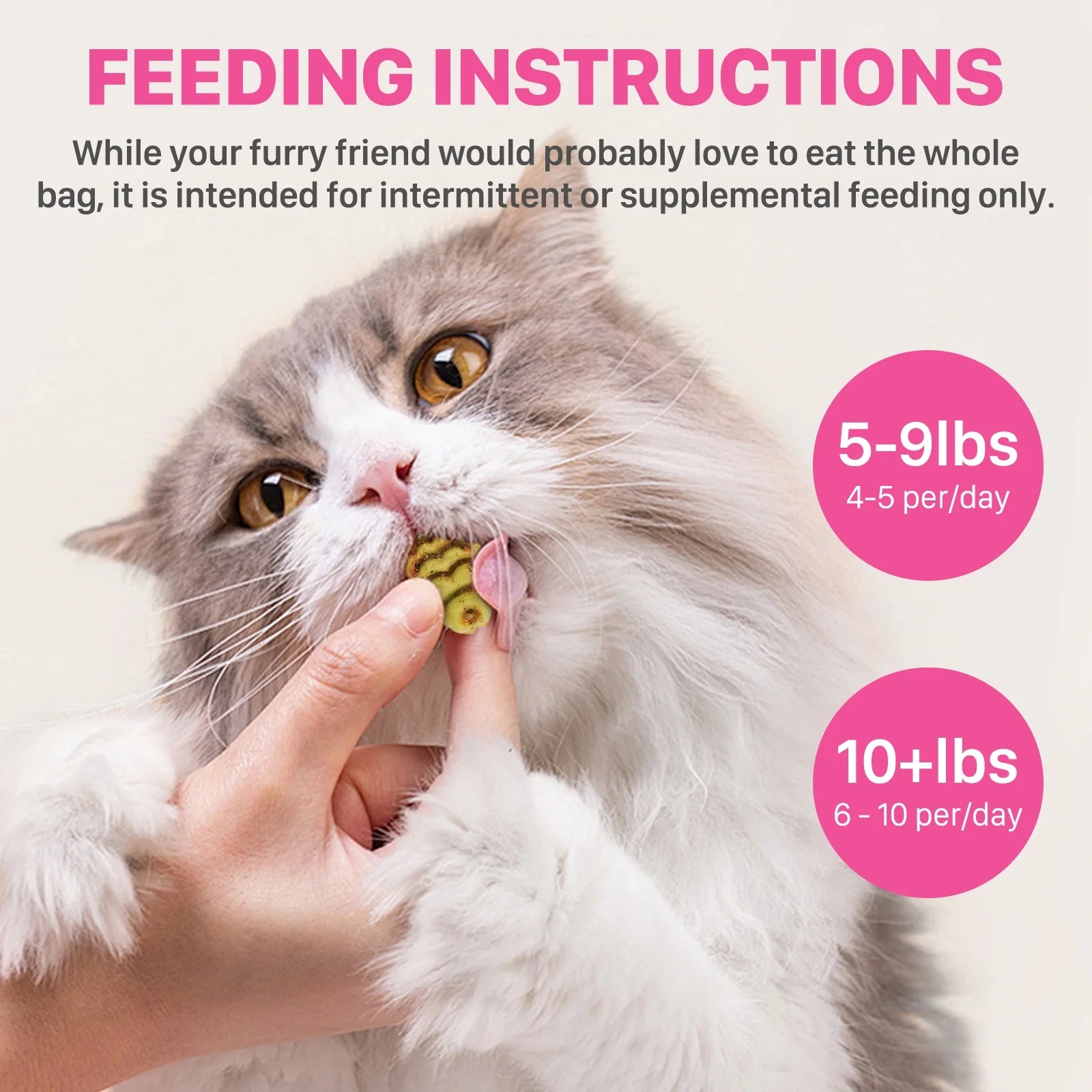 Catnip Biscuit Chicken & Salmon Flavor Cat Treats, 16 Oz