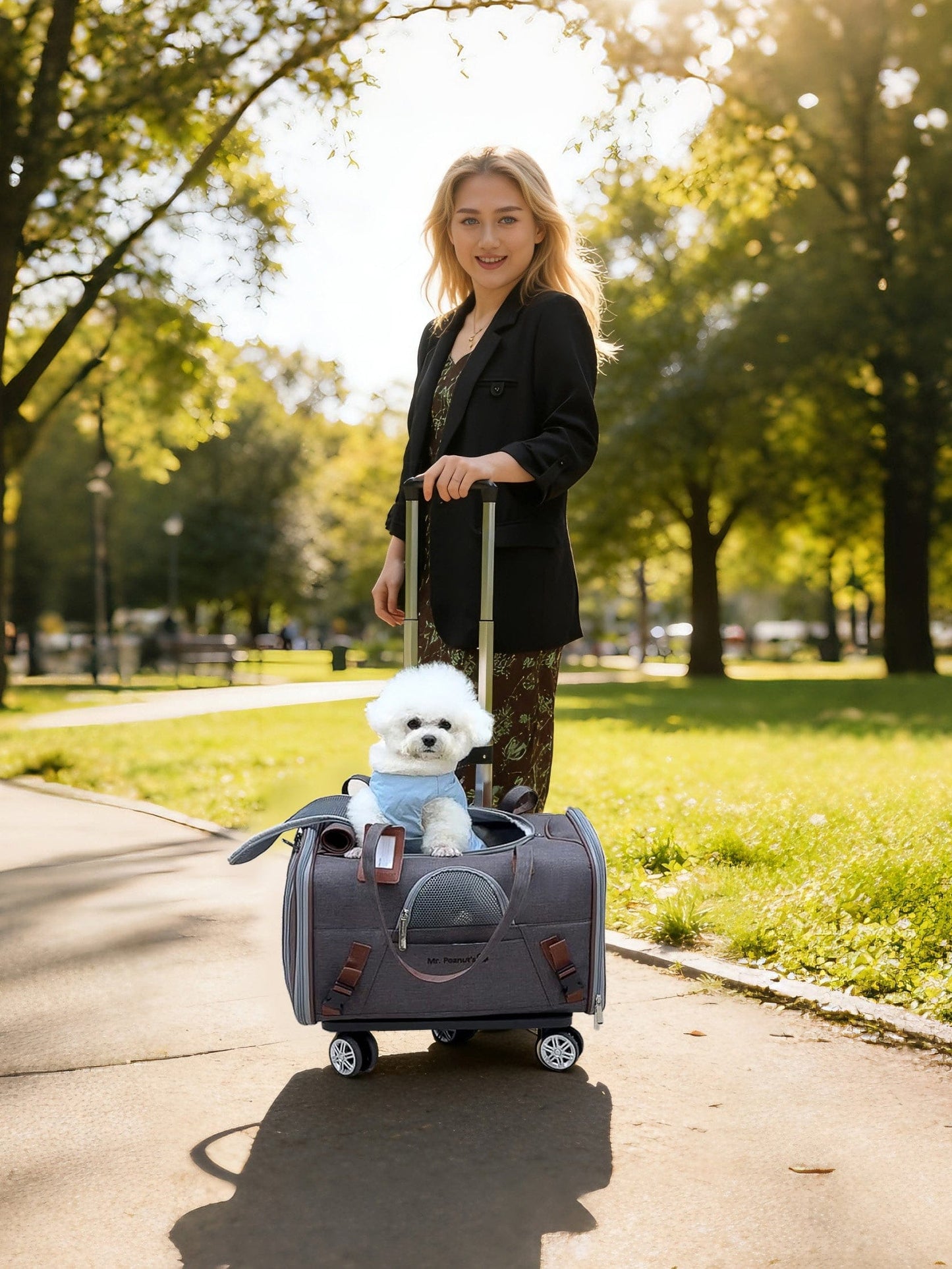 Gold Series Airline Travel Carrier
