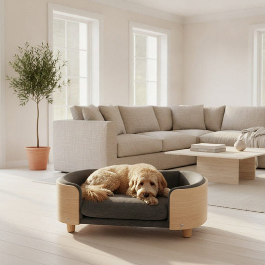 The Scandi Lounge