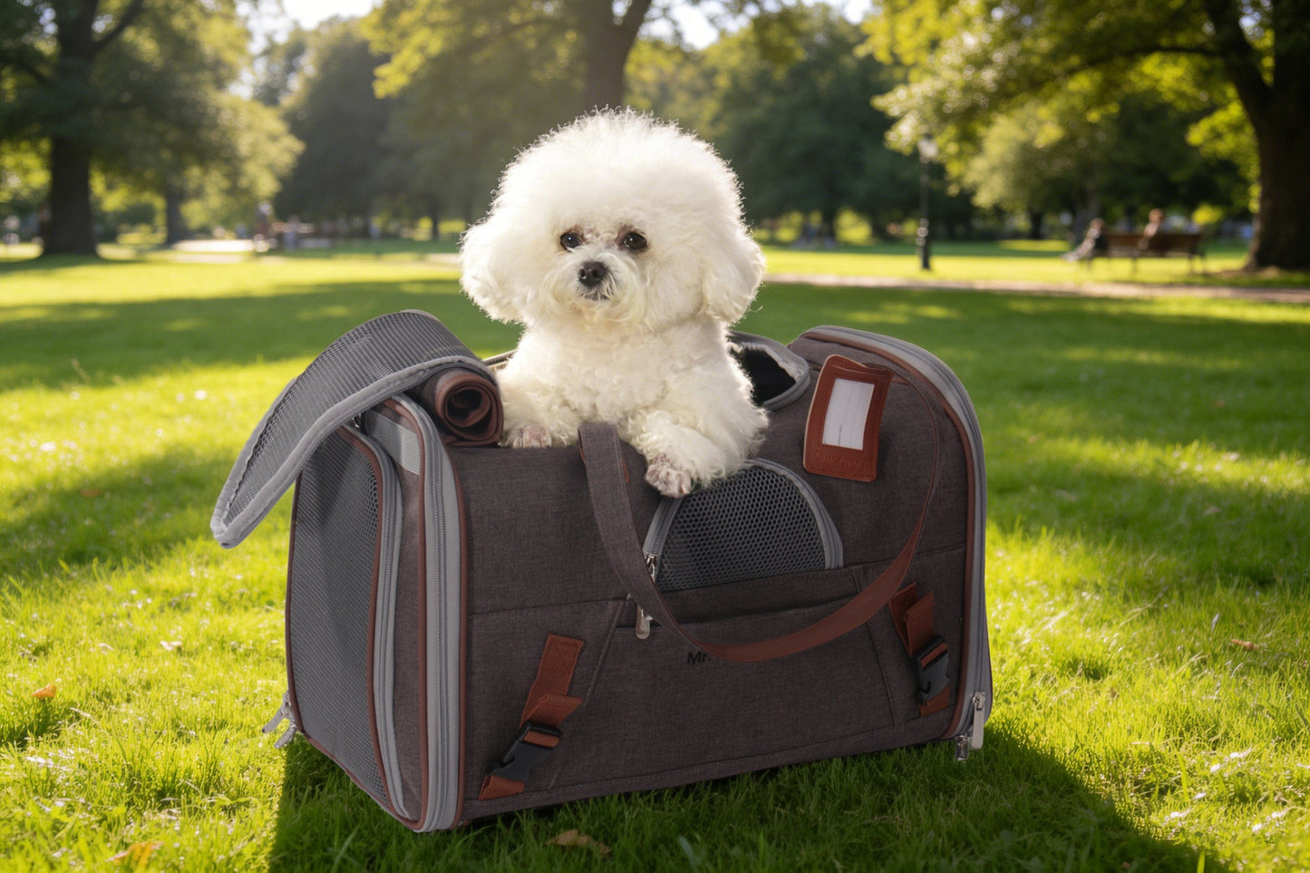 Gold Series Airline Travel Carrier