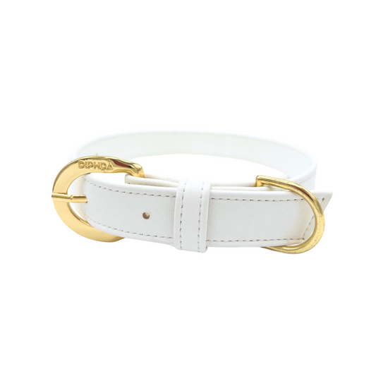 Starlight White Cactus Leather Dog Collar – Vegan Luxury Collar