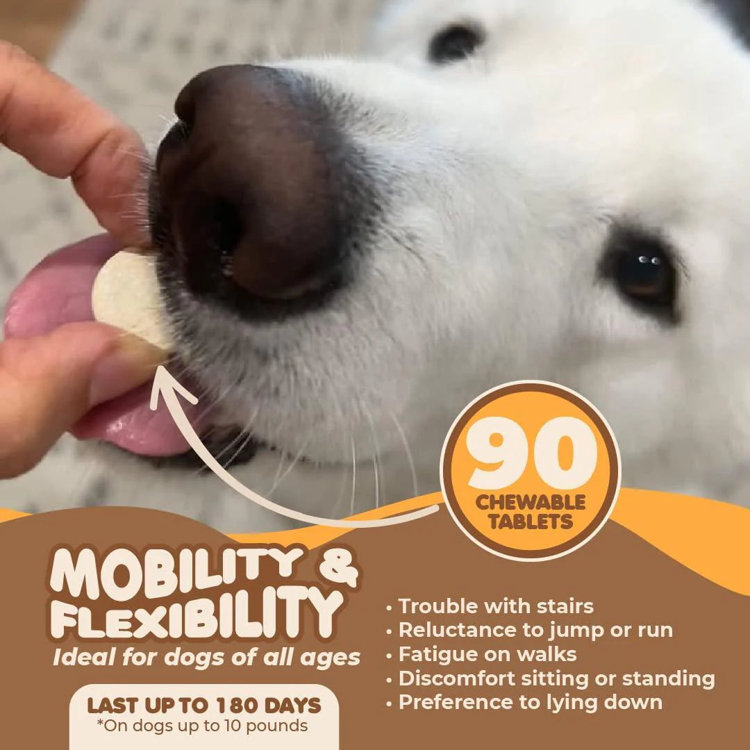 Joint Supplement for Dogs 90 Pills Turmeric for Dogs plus Fish Oil Glucosamine