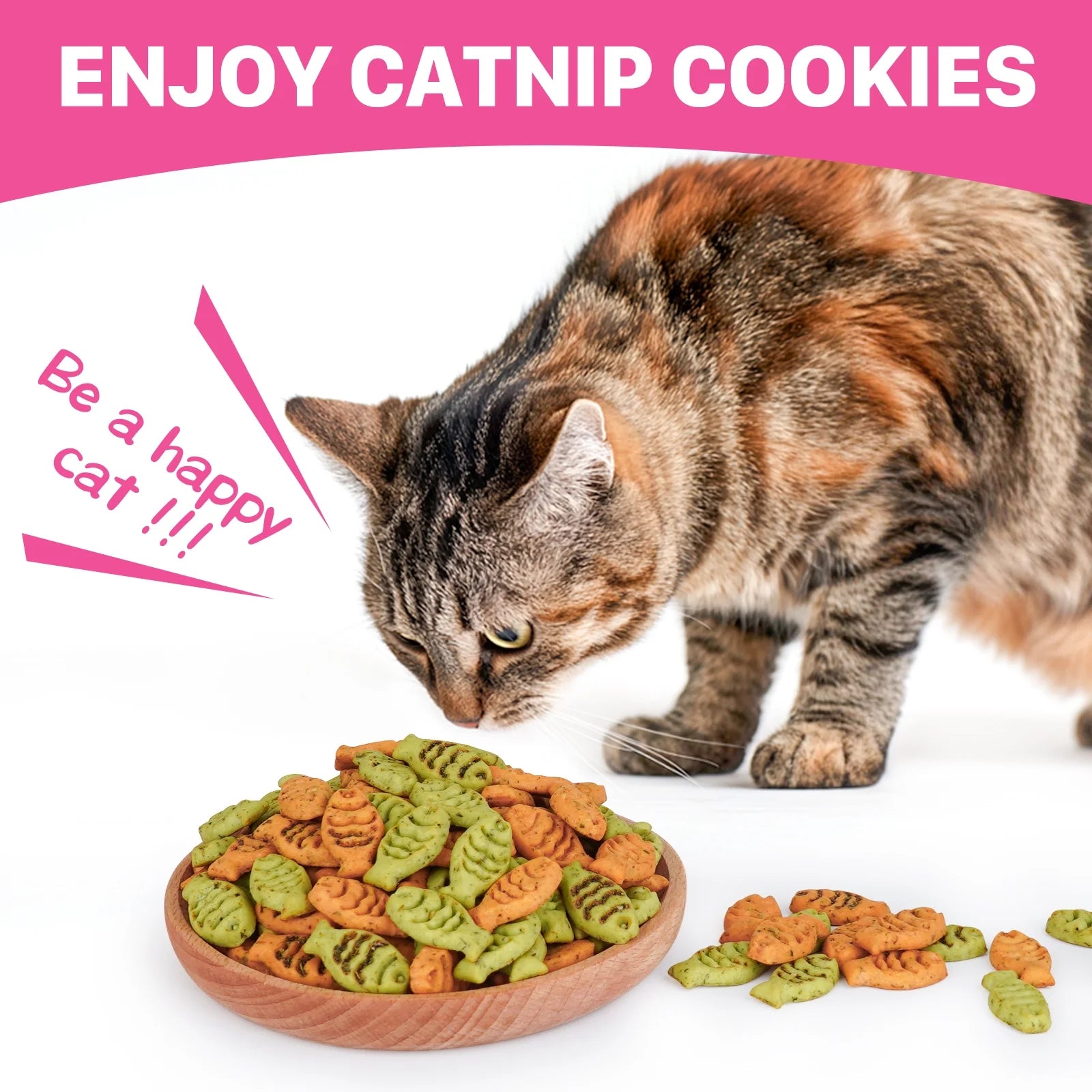 Catnip Biscuit Chicken & Salmon Flavor Cat Treats, 16 Oz