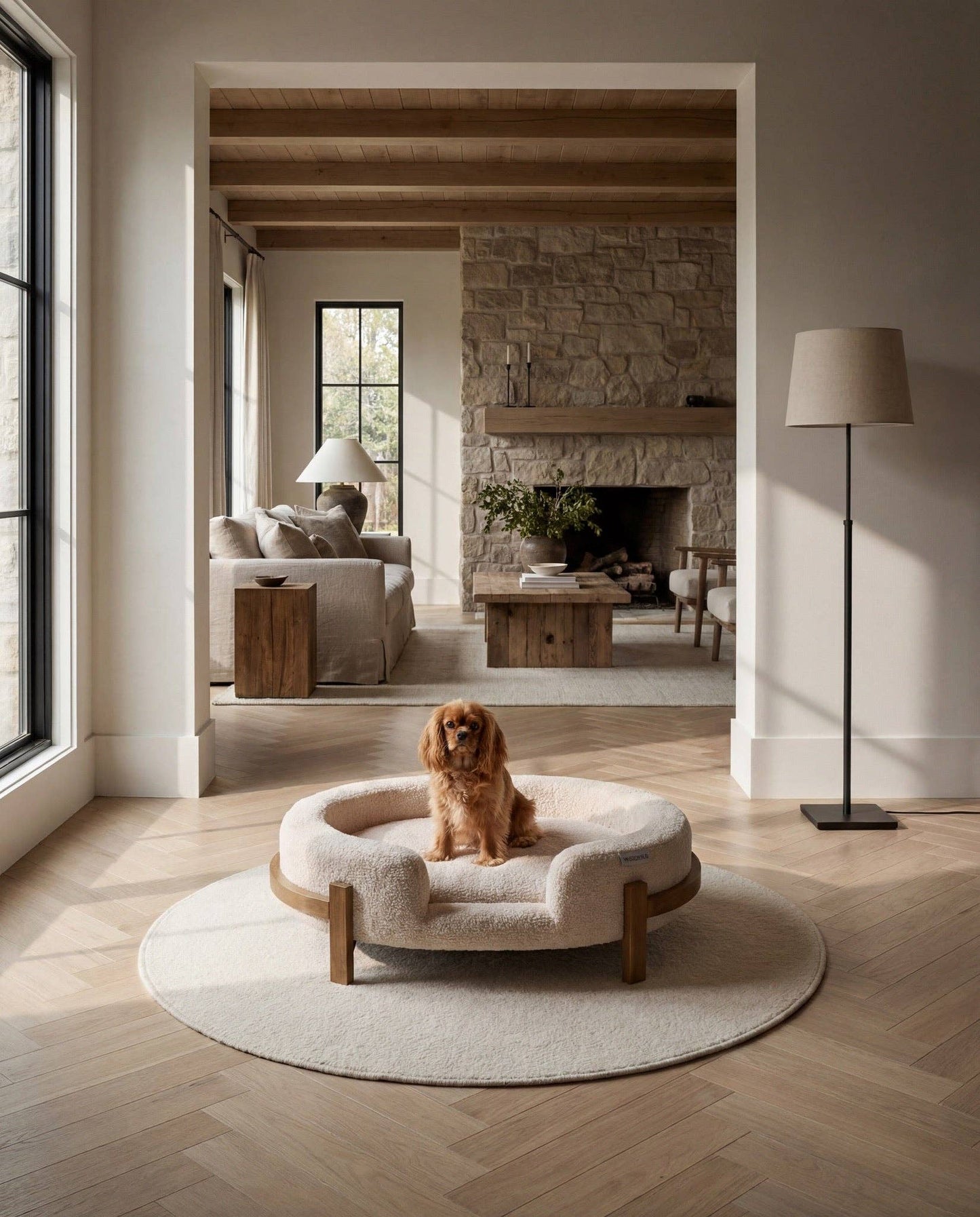 Belle V2 Elevated Pet Lounge