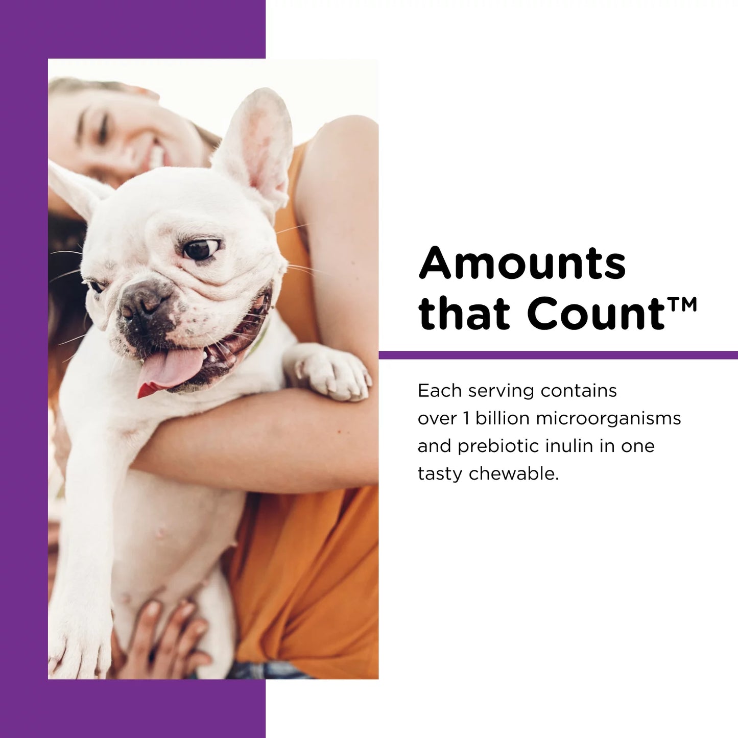 Pre/Probiotic Immune Supporting Soft Chews for Dogs - 120 Ct.