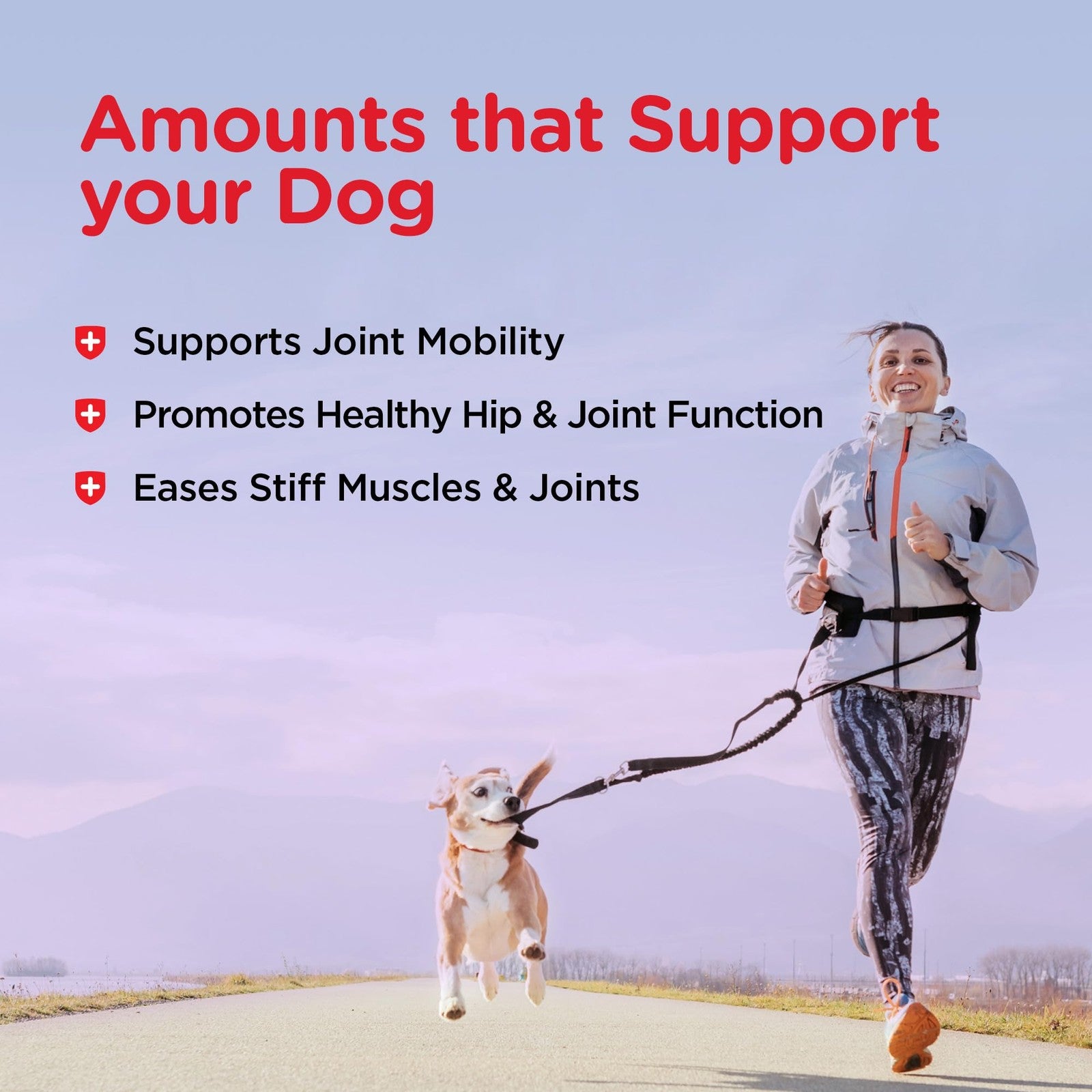 Nutri-Vet Hip & Joint Biscuits for Dogs, Peanut Butter Flavor (6 Lb) (13662-1)