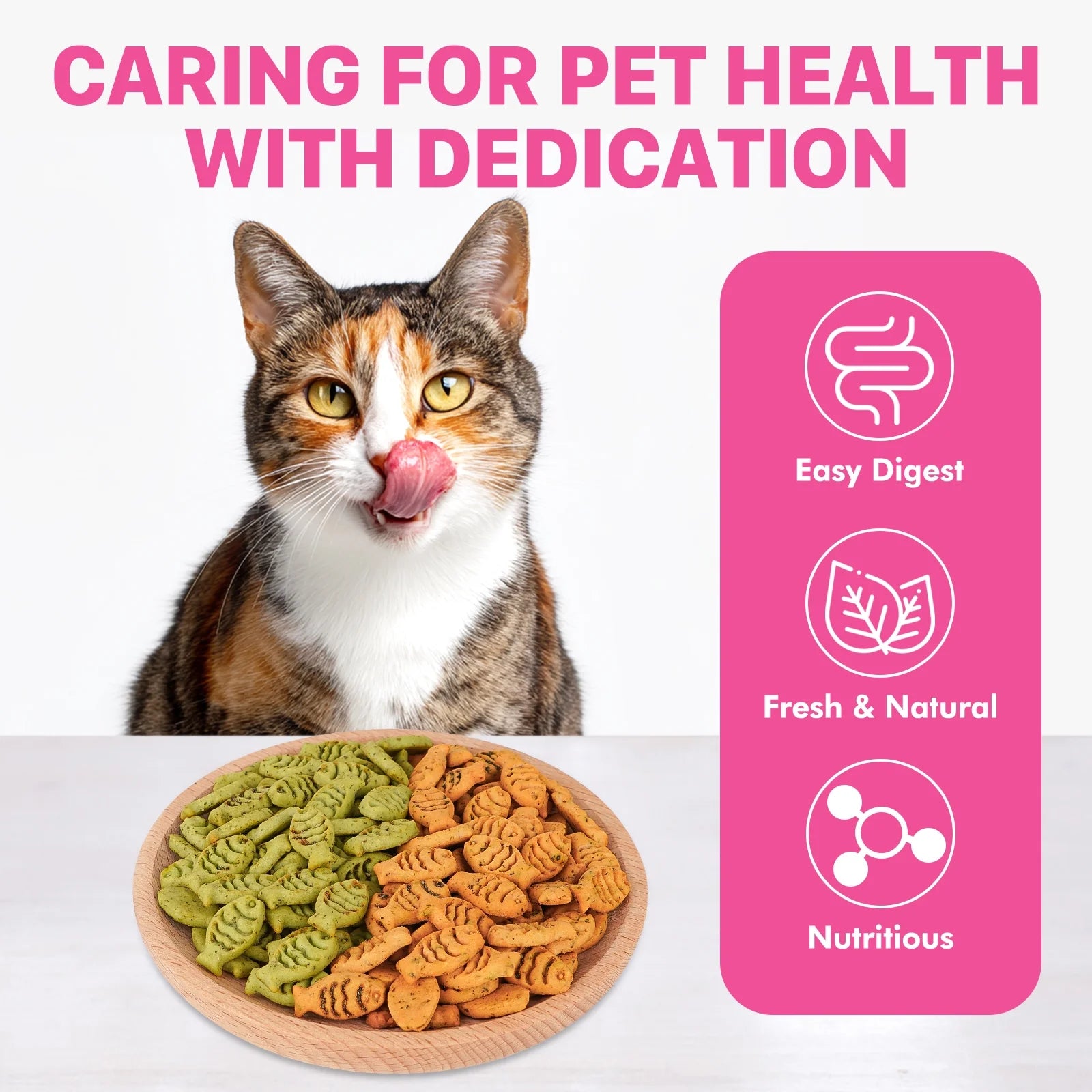 Catnip Biscuit Chicken & Salmon Flavor Cat Treats, 16 Oz