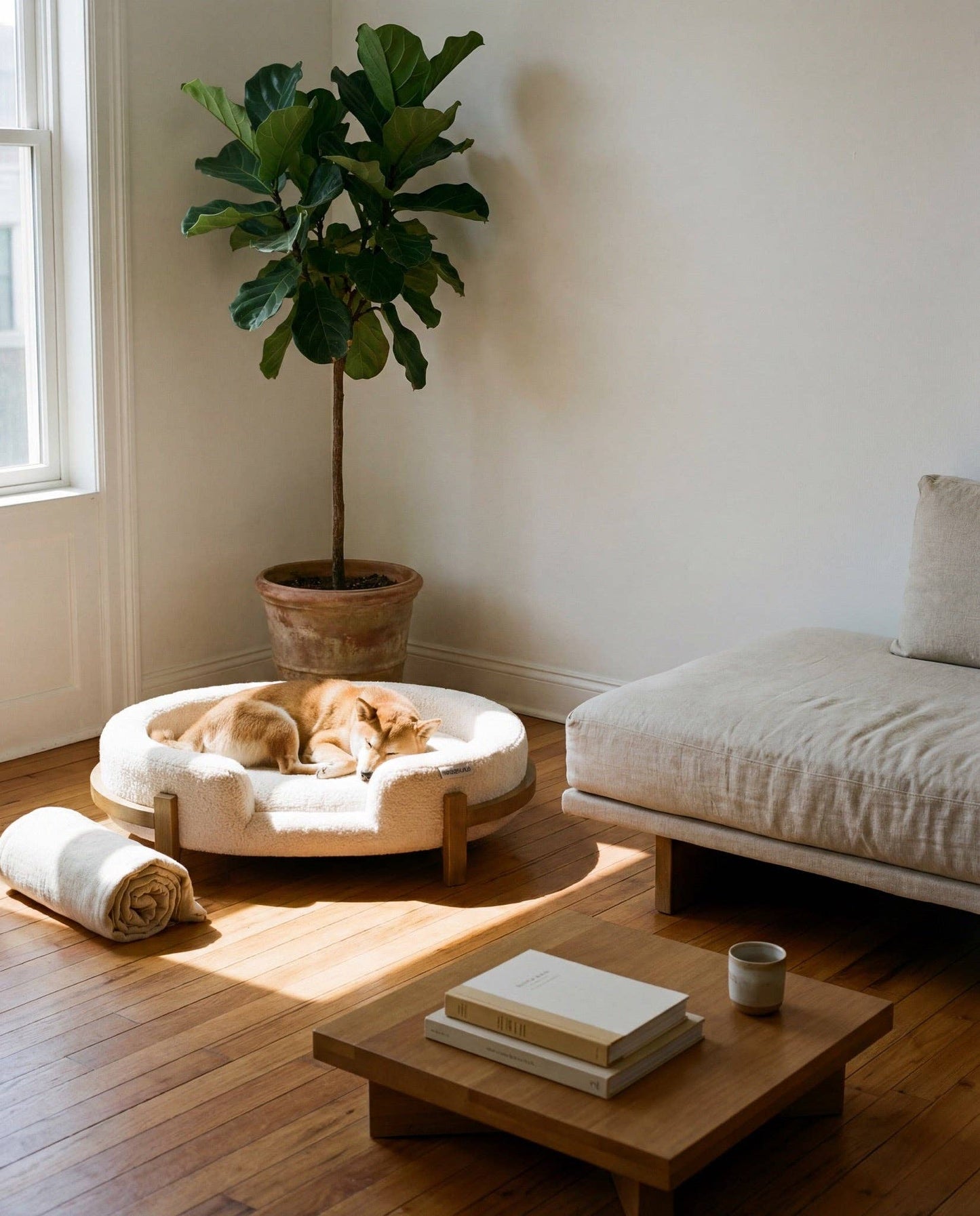 Belle V2 Elevated Pet Lounge