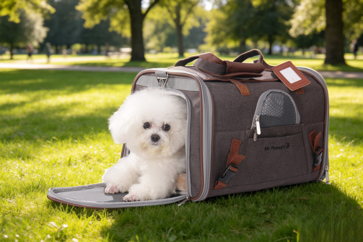 Gold Series Airline Travel Carrier