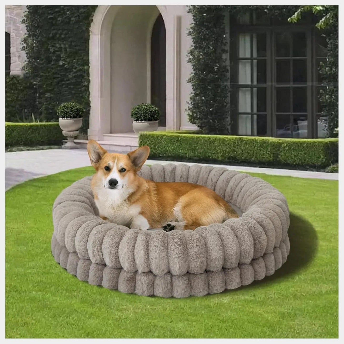 Balance Lounge Bed