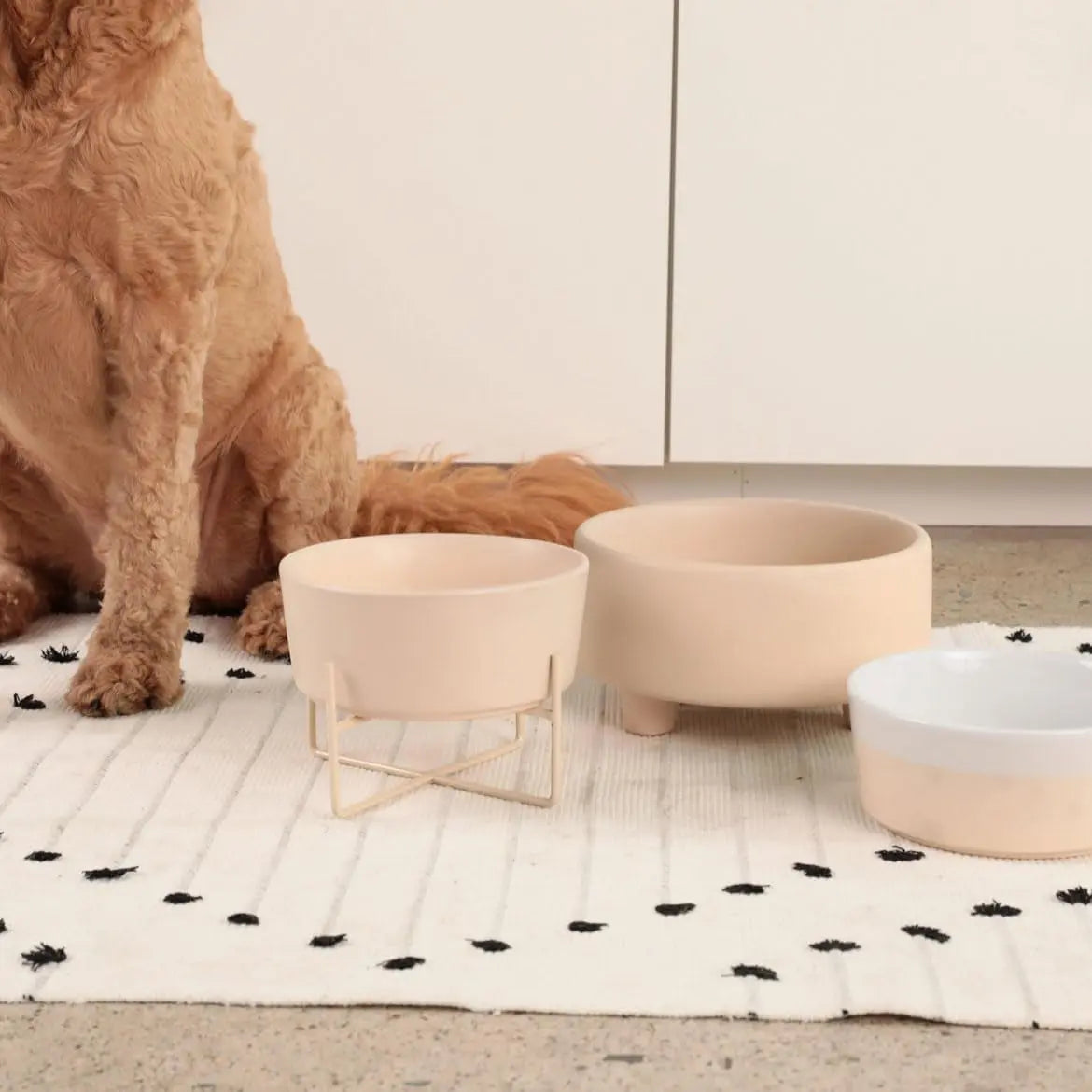 Elevated Ceramic Dog Bowl – Modern Stoneware Pet Feeder