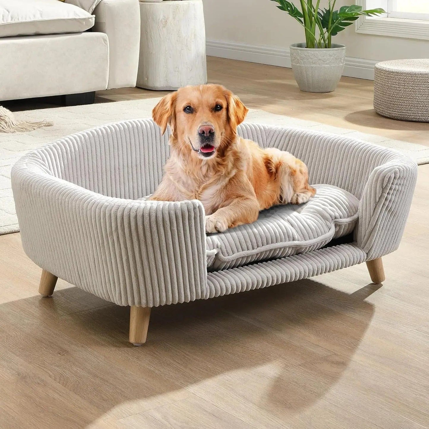 Living Suite Dog Sofa