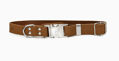 Quick-Release Leather Collar