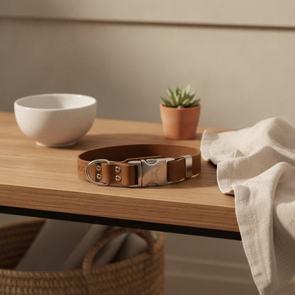 Quick-Release Leather Collar