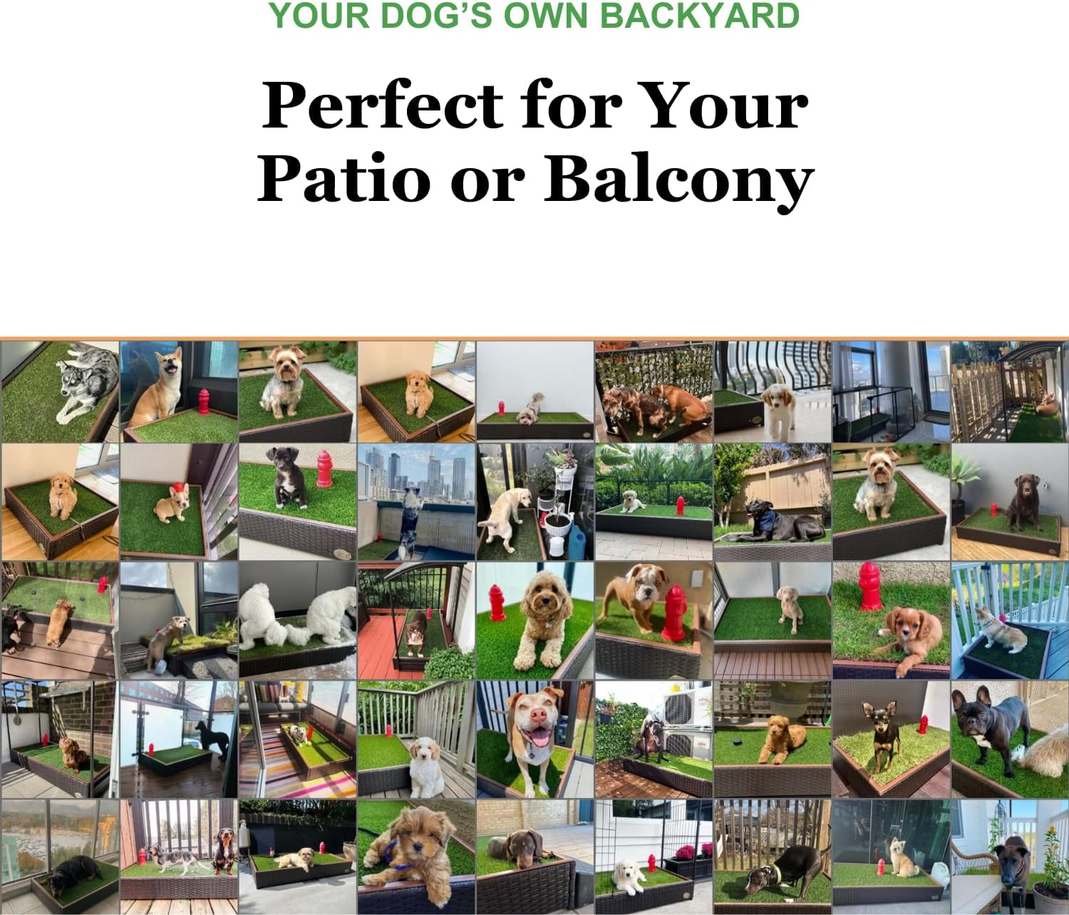 Small - Self-Draining Dog Potty Tray with Premium Synthetic Grass Pads - Dog Grass Pad with Tray - Puppy Pee Pads Washable - 4X2 Ft