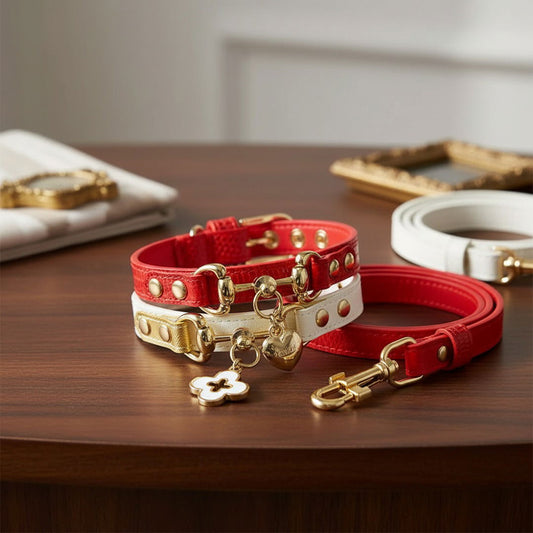 Luxury Calf Leather Dog Collar & Leash Set — Gold Hardware Designer Set