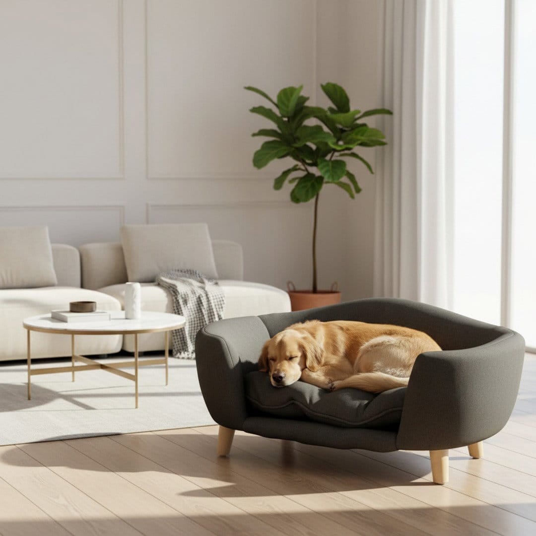 Living Suite Dog Sofa