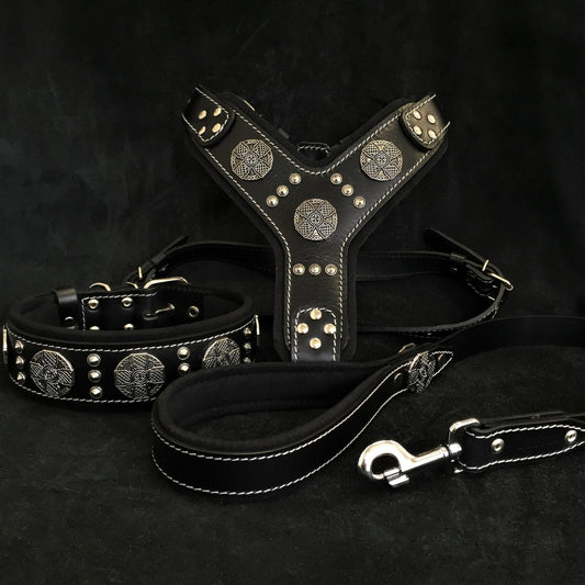 Maximus Silver Walk Set
