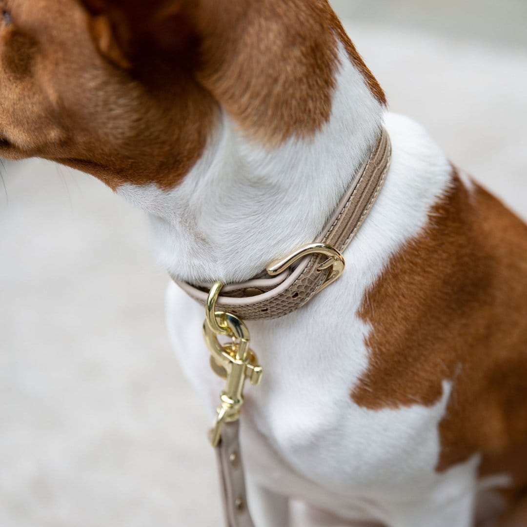 Milan Vegan Leather Dog Collar