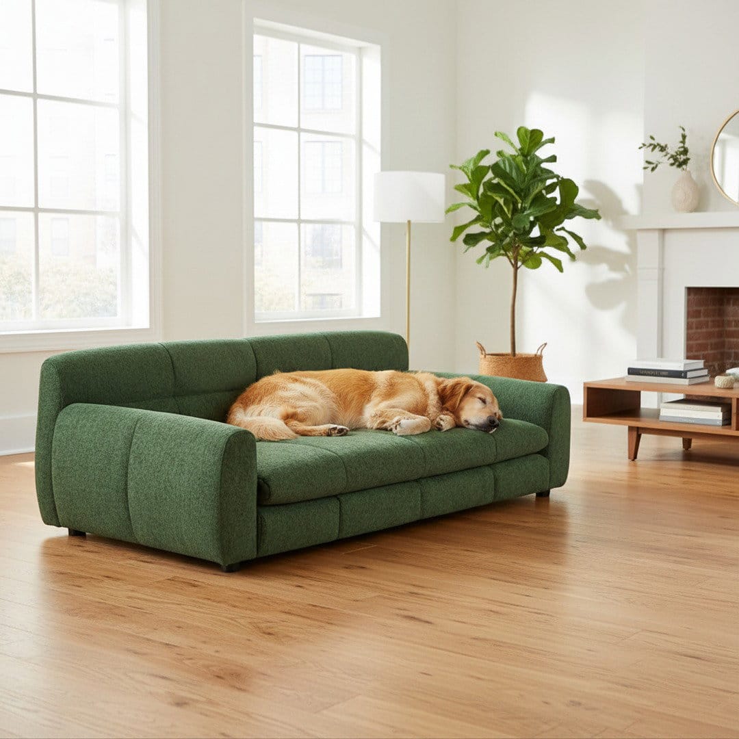 Oversized Olive Dog Sofa – Deep Rest for Larger Dogs