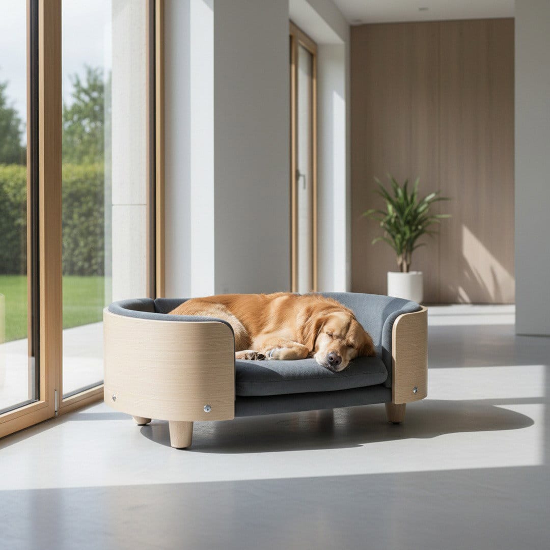 Scandinavian Elevated Dog Sofa